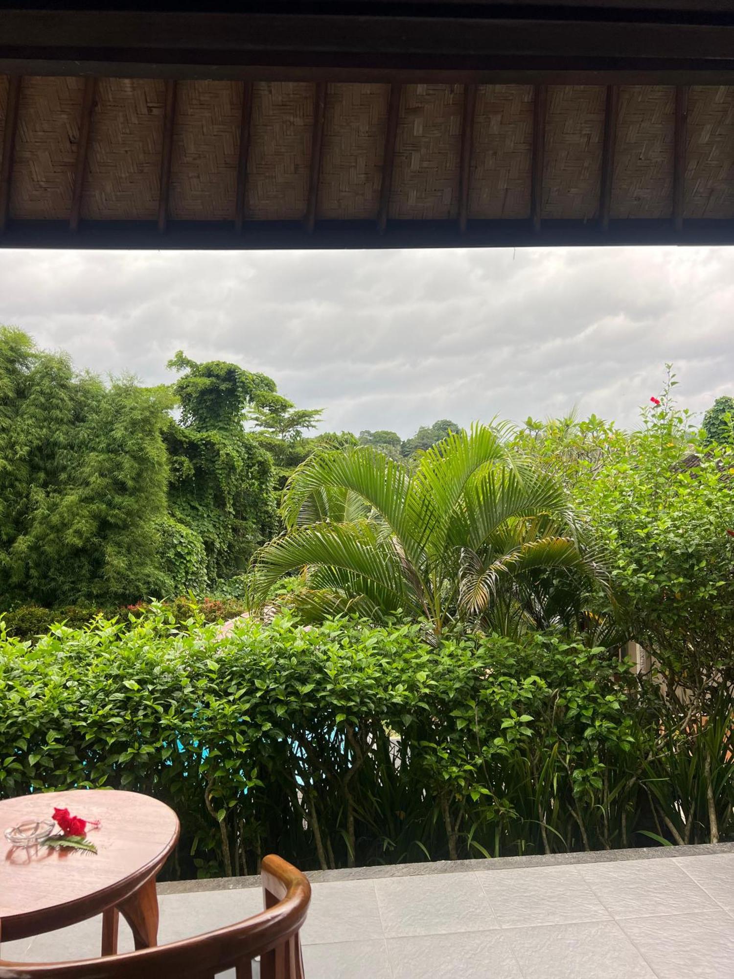 Giri Carik Hotel Sidemen  Luaran gambar